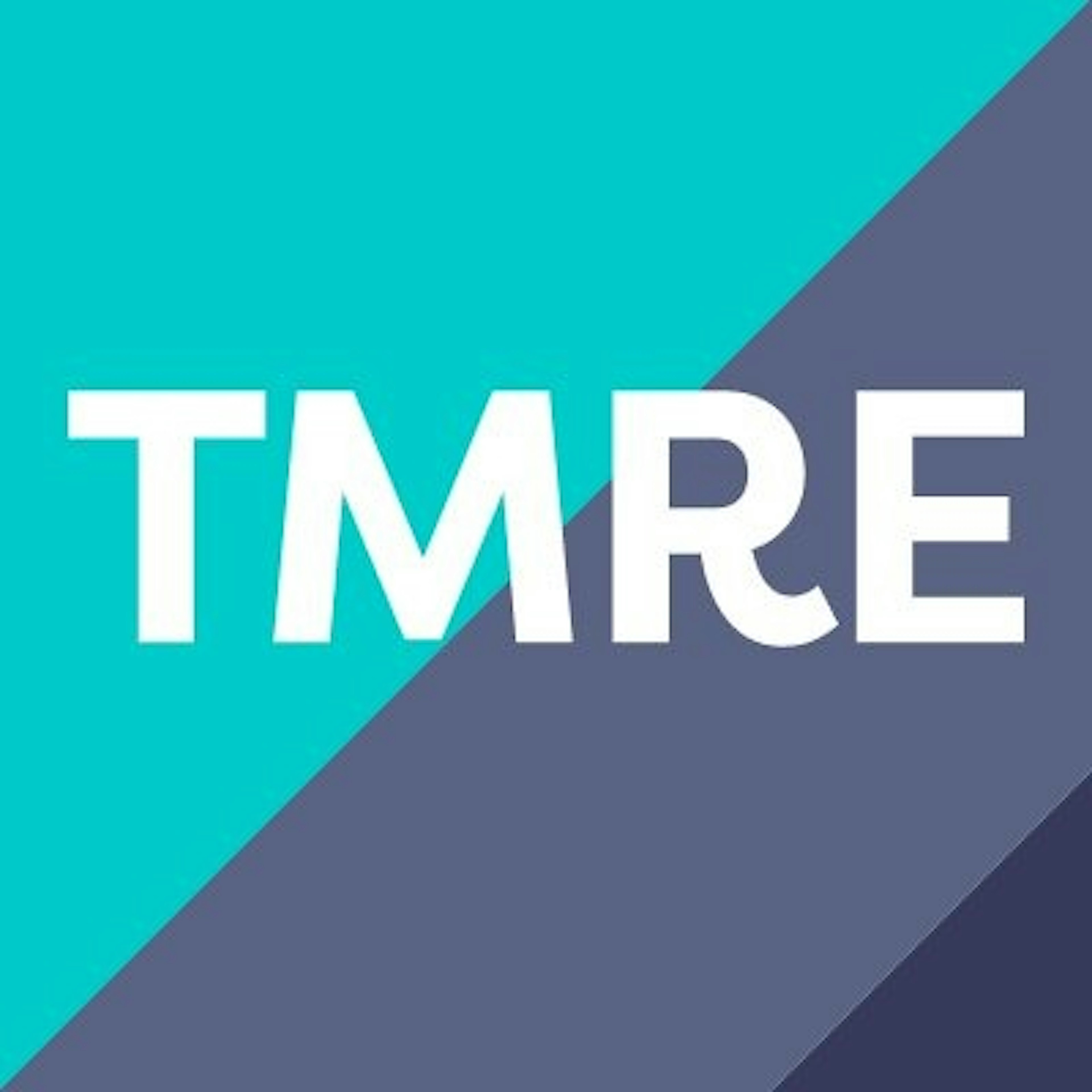 Logo image of TMRE: THE MARKET RESEARCH EVENT